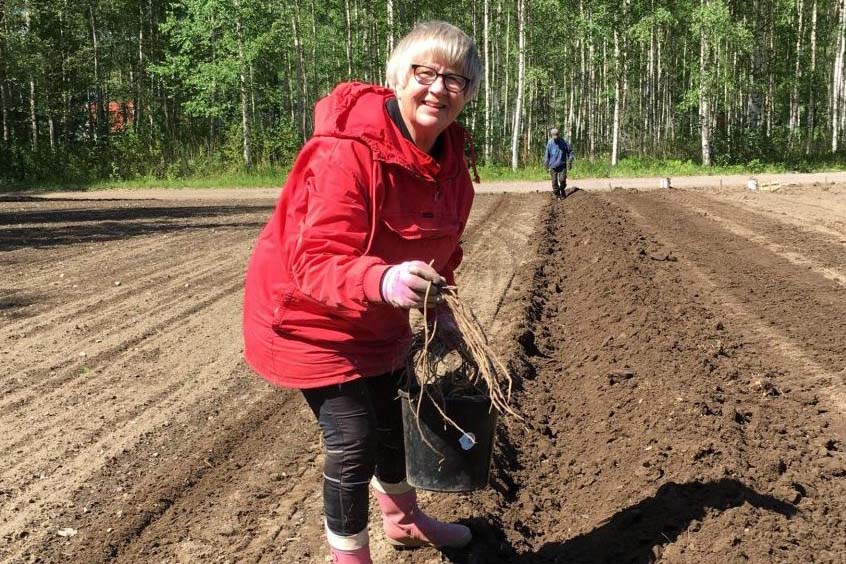 Hilkka Nikkari - Nikkarin Maatila - Hämeenkoski